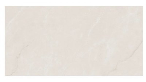 407 - TTM5 - MAGNORA SNOW [PRO CARVING] (1200 X 600) [S]