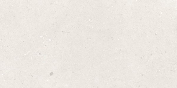 TRV501 - INDVT - SAVONA GRIGIO [MATT] (1200 X 600) [S]